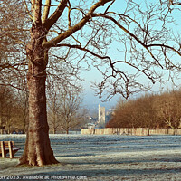 Buy canvas prints of Streatham Common on a frosty morning by Stephen Noulton
