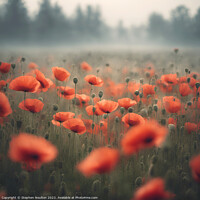 Buy canvas prints of Poppies in the mist  by Stephen Noulton