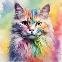 Buy canvas prints of Rainbow Persian Cat by Stephen Noulton