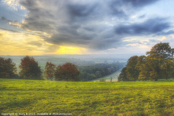 Old Winchester Hill Hampshire Picture Board by Suzy B