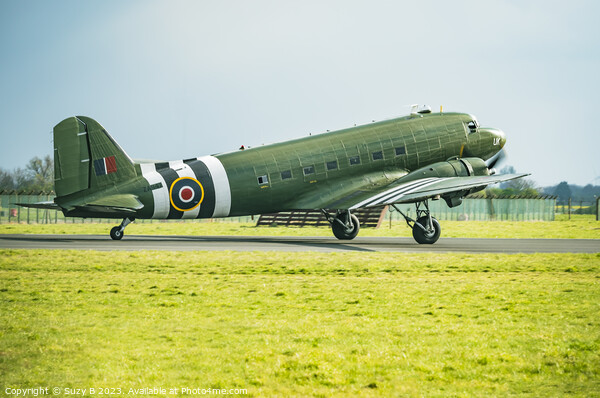 Dakota at RAF Coningsby Picture Board by Suzy B