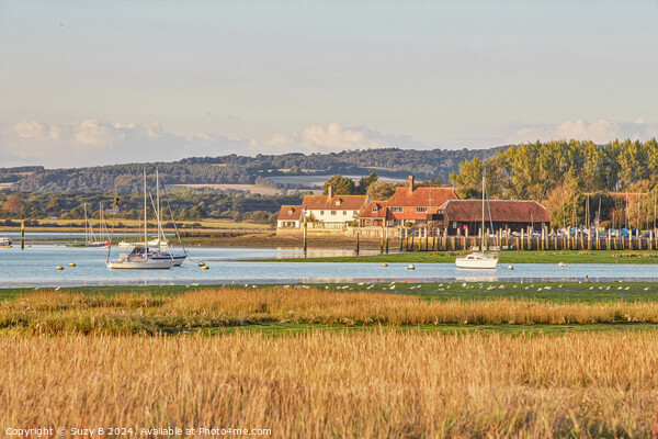 Bosham West Sussex -  Painted Effect  Picture Board by Suzy B