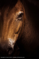 Click to show how this picture will look as a piece of wall art