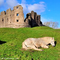Buy canvas prints of Guardians of Brough Castle, Cumbria by Sandie 