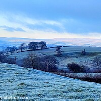 Buy canvas prints of Frost Mantling The North Pennine Moor, Near Brough by Sandie 