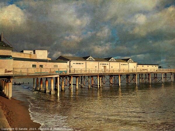 Teignmouth Pier, in winter jutting out to sea Picture Board by Sandie 