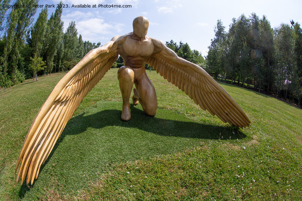 Winged man Picture Board by Peter Park