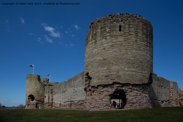 Rhuddlan Castle Picture Board by Peter Park