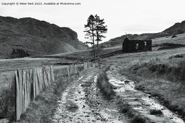 Chapel Cwmorthin in black and white Picture Board by Peter Park