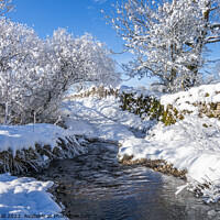 Buy canvas prints of Sunshine after the Snow by Robert Hall