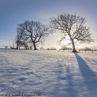 Buy canvas prints of Snow Silhouette by Robert Hall
