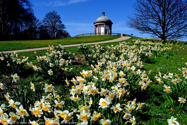 The Folly in Spring Picture Board by Peter Hatton