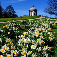 Buy canvas prints of The Folly in Spring by Peter Hatton