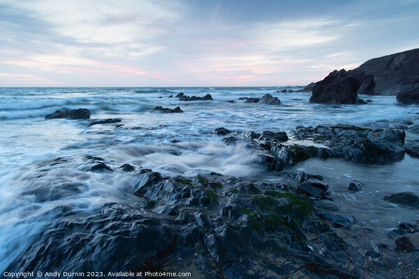 Dollar Cove Blue Hour Picture Board by Andy Durnin