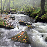 Buy canvas prints of Golitha Falls Cascade by Andy Durnin