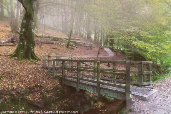 Luxulyan Valley The Wooden Bridge Picture Board by Andy Durnin