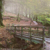 Buy canvas prints of Luxulyan Valley The Wooden Bridge by Andy Durnin