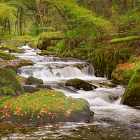 Buy canvas prints of Golitha Falls Autumn  by Andy Durnin