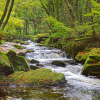 Buy canvas prints of Golitha Falls Autumn 2 by Andy Durnin