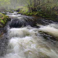 Buy canvas prints of Golitha Falls Autumn 3 by Andy Durnin