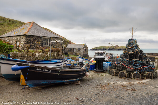 Mullion Cove Harbour Picture Board by Andy Durnin