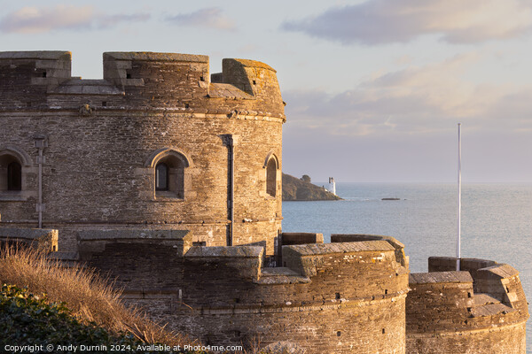 St Mawes Castle Picture Board by Andy Durnin