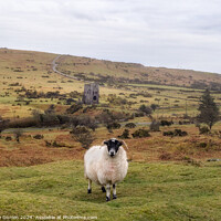 Buy canvas prints of Minions Bodmin Moor by Andy Durnin