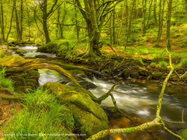 River Fowey Cascade Landscape Picture Board by Andy Durnin
