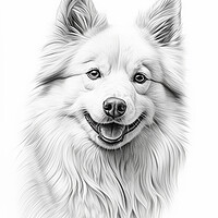 Buy canvas prints of American Eskimo Dog Pencil Drawing by K9 Art