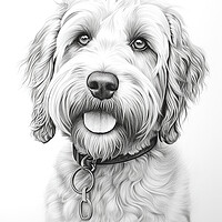 Buy canvas prints of Barbet Pencil Drawing by K9 Art