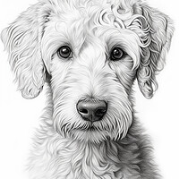 Buy canvas prints of Bedlington Terrier Pencil Drawing by K9 Art