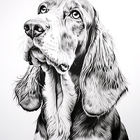Buy canvas prints of Basset Hound Pencil Drawing by K9 Art
