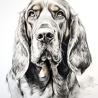 Buy canvas prints of Bloodhound Pencil Drawing by K9 Art