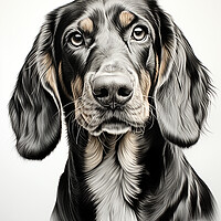 Buy canvas prints of Black And Tan Coonhound Pencil Drawing by K9 Art