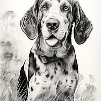 Buy canvas prints of Bluetick Coonhound Pencil Drawing by K9 Art