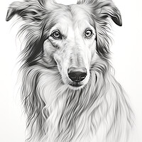Buy canvas prints of Borzoi Pencil Drawing by K9 Art
