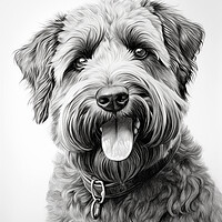 Buy canvas prints of Bouvier Des Flandres Pencil Drawing by K9 Art