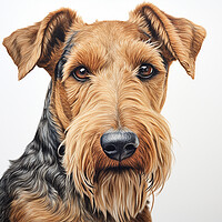 Buy canvas prints of Airedale Terrier Pencil Drawing by K9 Art