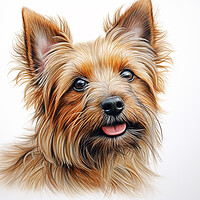 Buy canvas prints of Australian Terrier Pencil Drawing by K9 Art