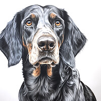 Buy canvas prints of Bluetick Coonhound Pencil Drawing by K9 Art