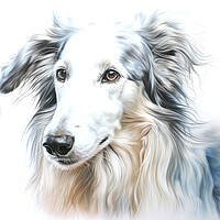 Buy canvas prints of Borzoi Pencil Drawing by K9 Art
