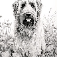 Buy canvas prints of Briard Pencil Drawing by K9 Art