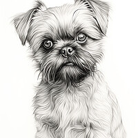 Buy canvas prints of Brussels Griffon Pencil Drawing by K9 Art