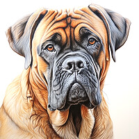 Buy canvas prints of Bullmastiff Pencil Drawing by K9 Art