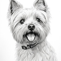 Buy canvas prints of Cairn Terrier Pencil Drawing by K9 Art