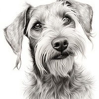 Buy canvas prints of Cesky Terrier Pencil Drawing by K9 Art