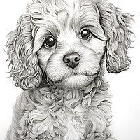 Buy canvas prints of Cavapoo Pencil Drawing by K9 Art