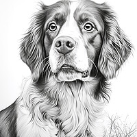 Buy canvas prints of Drever Pencil Drawing by K9 Art