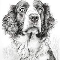 Buy canvas prints of Drever Pencil Drawing by K9 Art