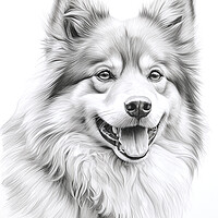 Buy canvas prints of Finnish Lapphund Pencil Drawing by K9 Art